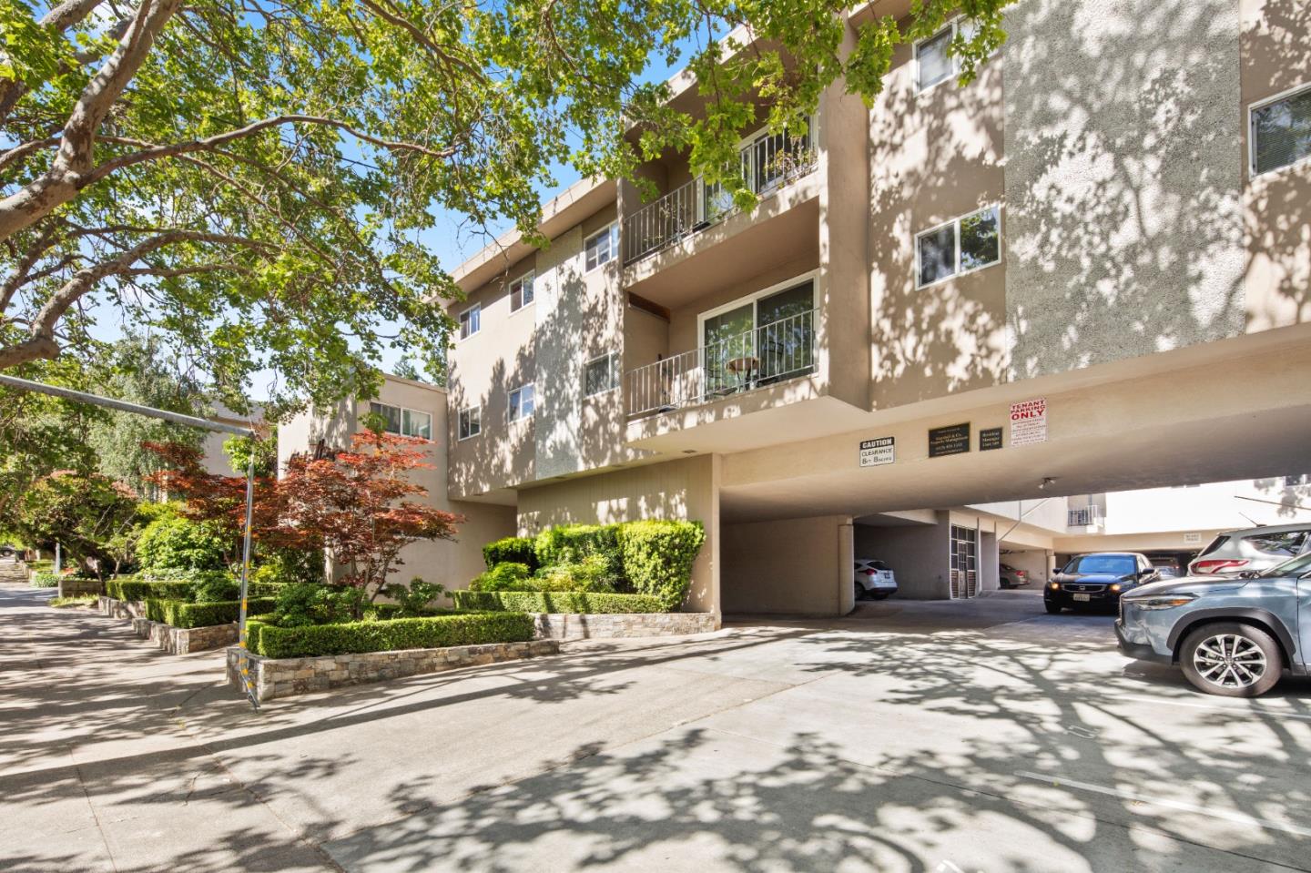 247 D Street San Rafael, CA 94901 - Photo 2 of 15