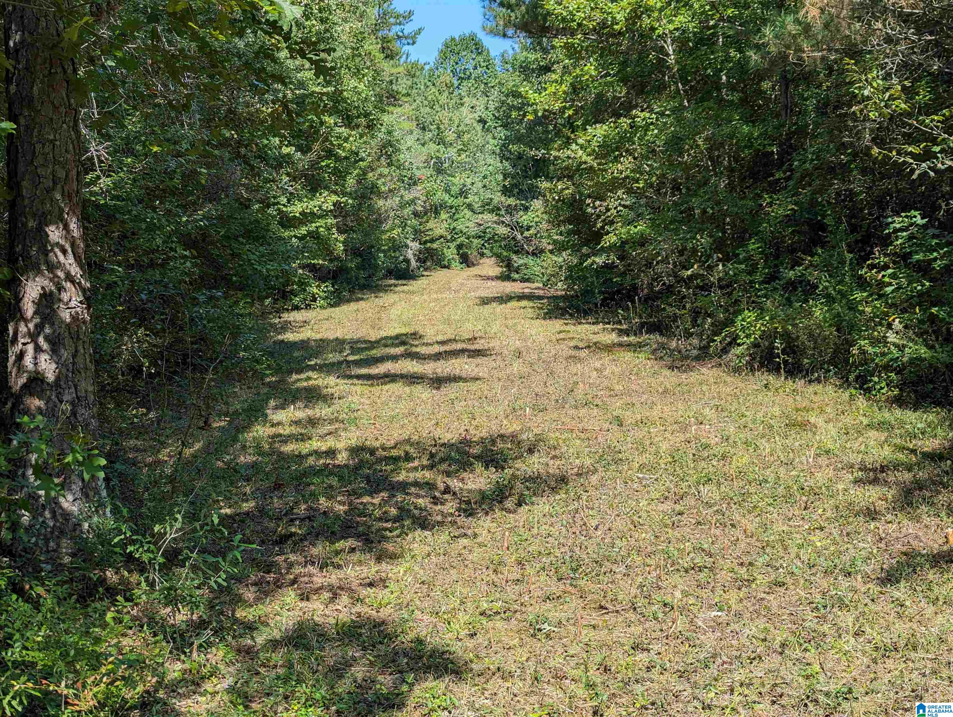 534 County Road, Unit 35 Woodland, AL 36280 - Photo 19 of 22
