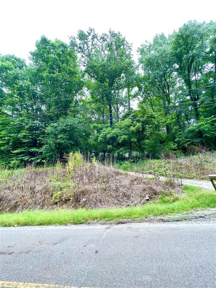 1654 Tate Road Drummonds, TN 38023 - Photo 14 of 19 Gallery Image 14