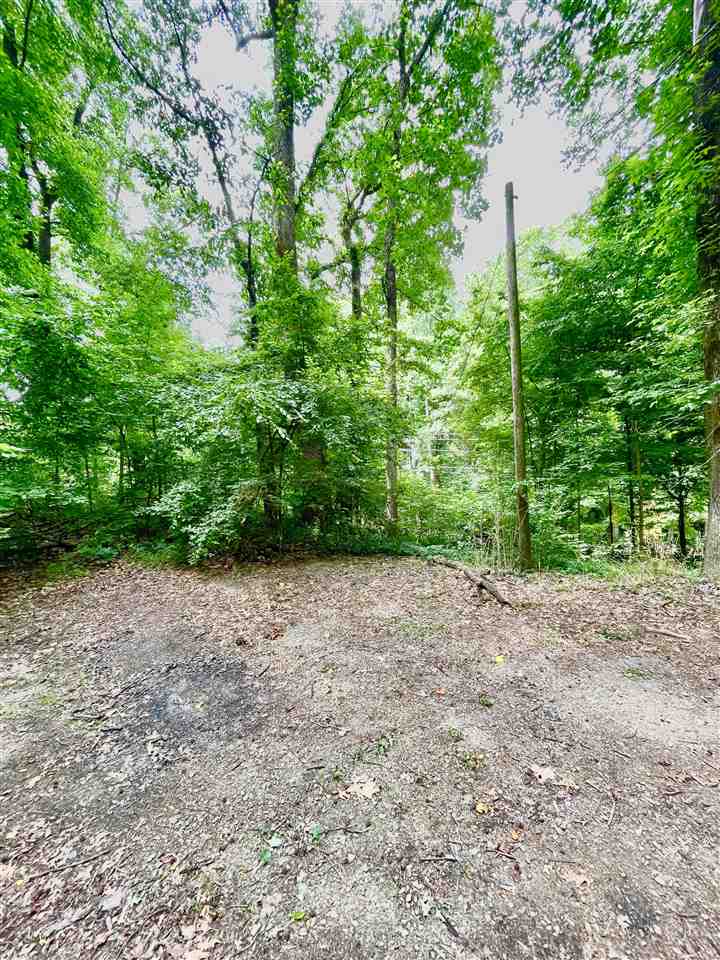 1654 Tate Road Drummonds, TN 38023 - Photo 17 of 19 Gallery Image 17