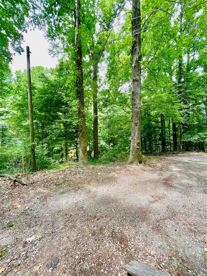 1654 Tate Road Drummonds, TN 38023 - Photo 18 of 19 Gallery Image 18