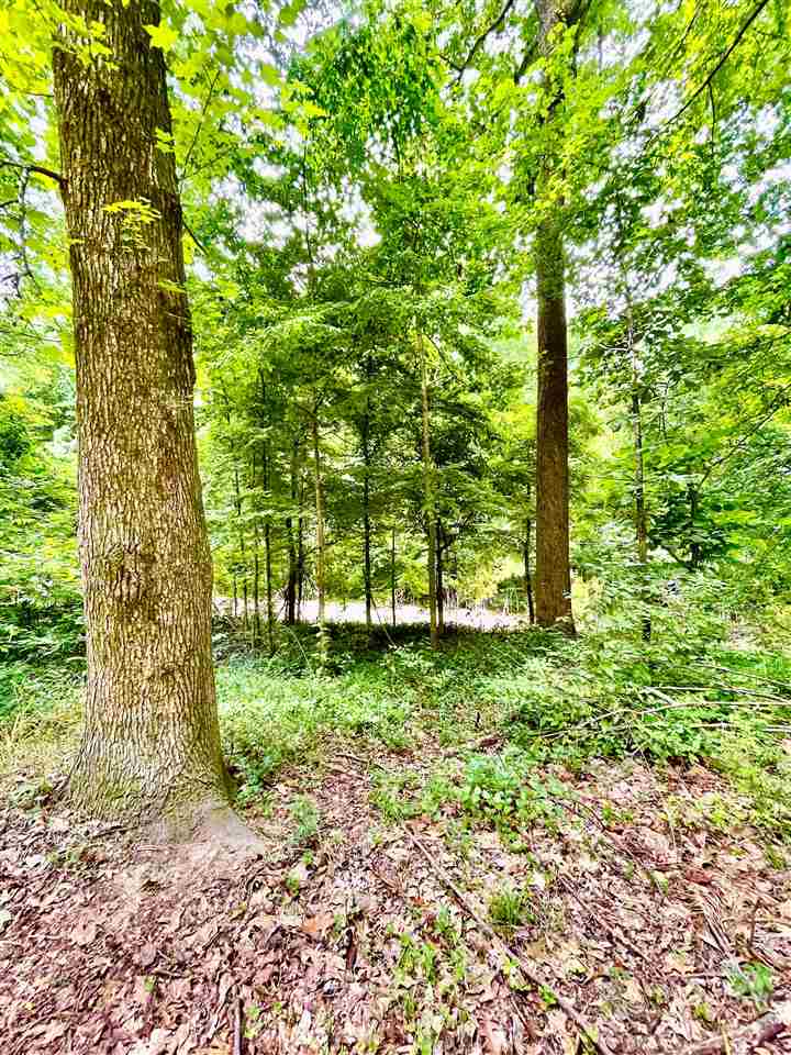 1654 Tate Road Drummonds, TN 38023 - Photo 19 of 19 Gallery Image 19