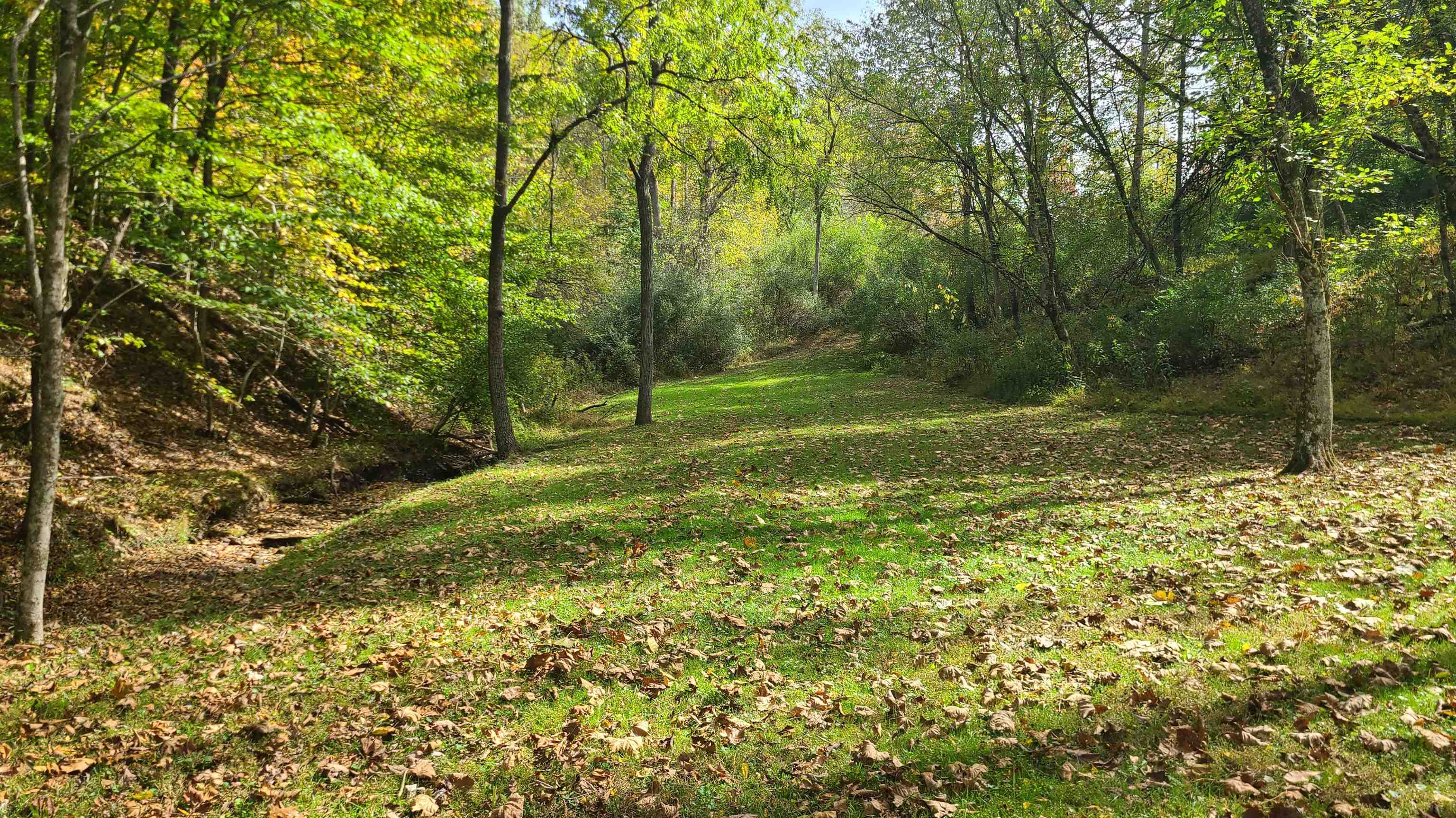 Harmons Branch Road Winfield, WV 25213 - Photo 3 of 14 Gallery Image 3