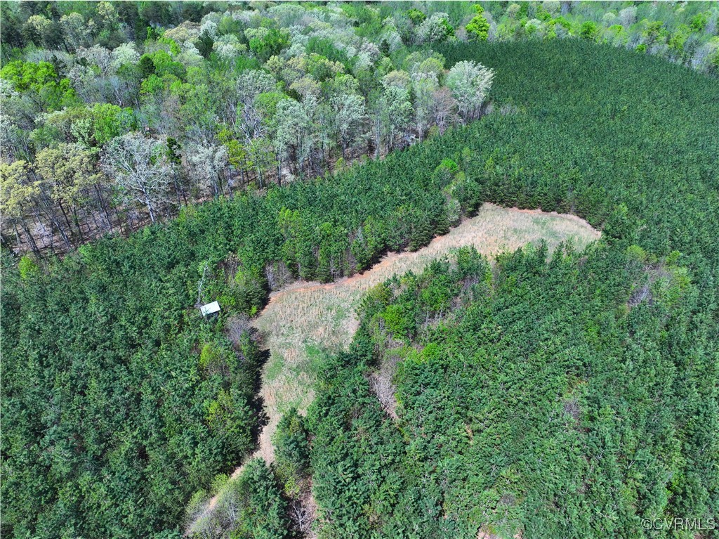 4147 Hunting Creek Road Nathalie, VA 24577 - Photo 11 of 50 Food plot with box blind