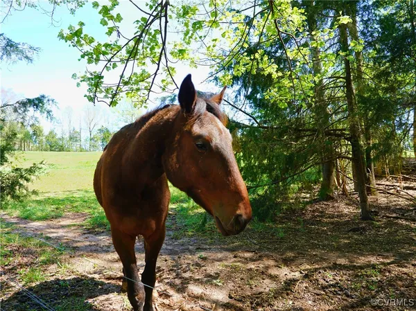 $365,000 | 4147 Hunting Creek Road, Nathalie, VA 24577