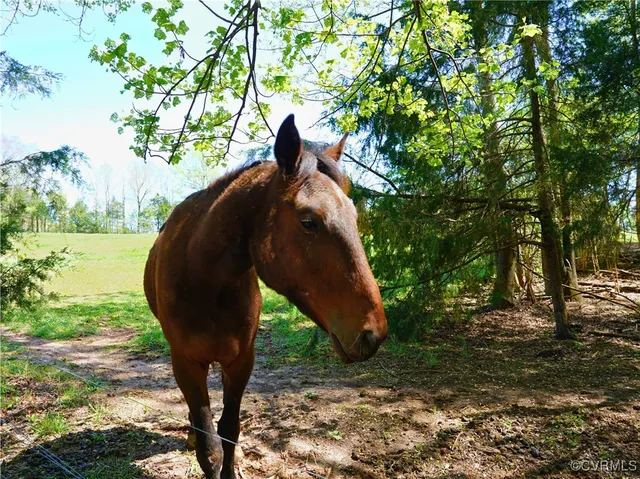 $389,000 | 4147 Hunting Creek Road, Nathalie, VA 24577
