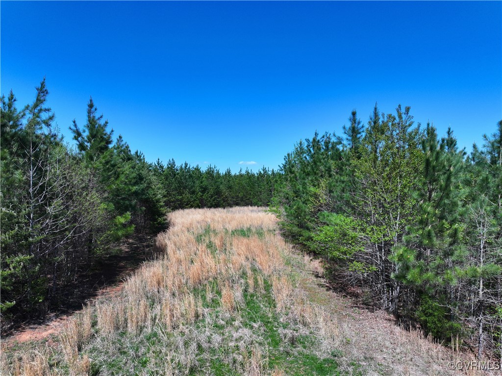 4147 Hunting Creek Road Nathalie, VA 24577 - Photo 27 of 50