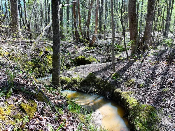 $365,000 | 4147 Hunting Creek Road, Nathalie, VA 24577