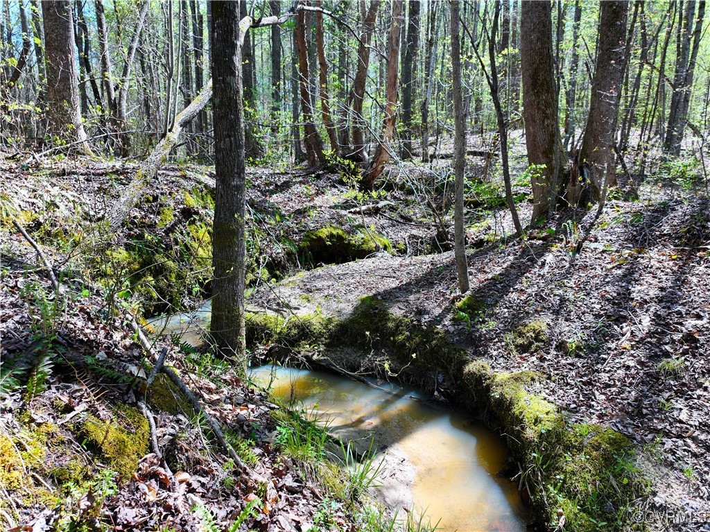 4147 Hunting Creek Road Nathalie, VA 24577 - Photo 29 of 50