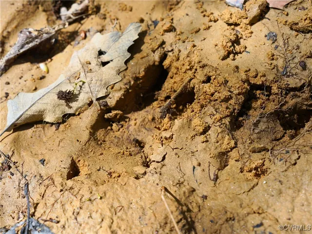 $389,000 | 4147 Hunting Creek Road, Nathalie, VA 24577