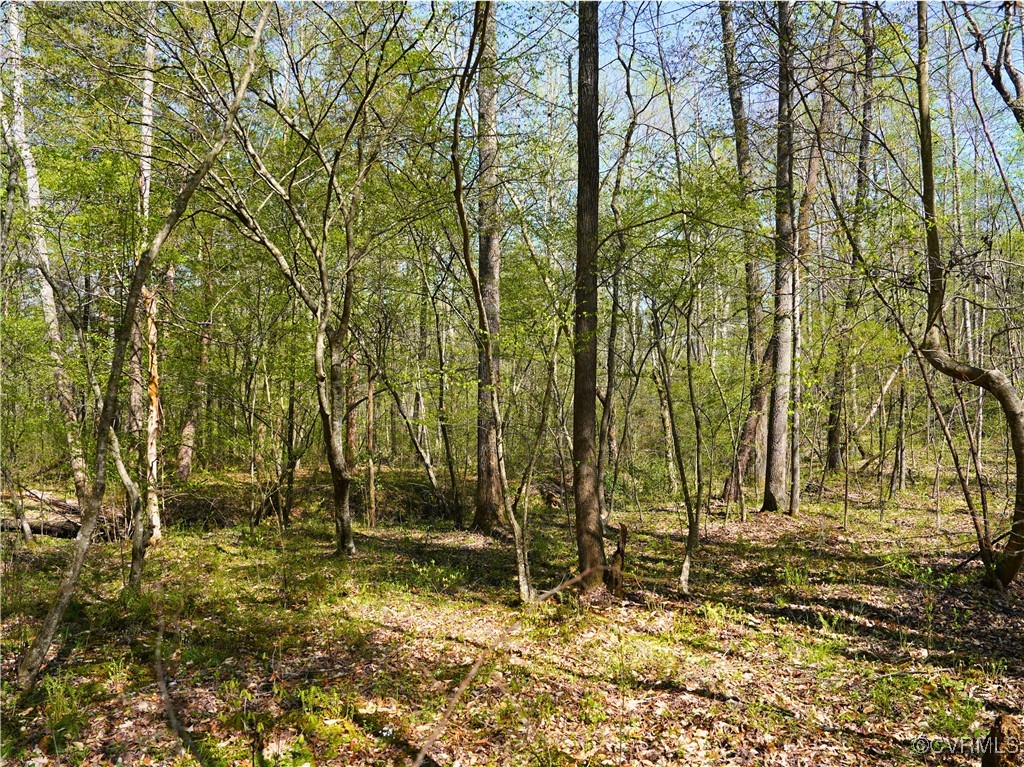 4147 Hunting Creek Road Nathalie, VA 24577 - Photo 36 of 50