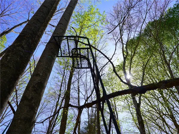 $365,000 | 4147 Hunting Creek Road, Nathalie, VA 24577