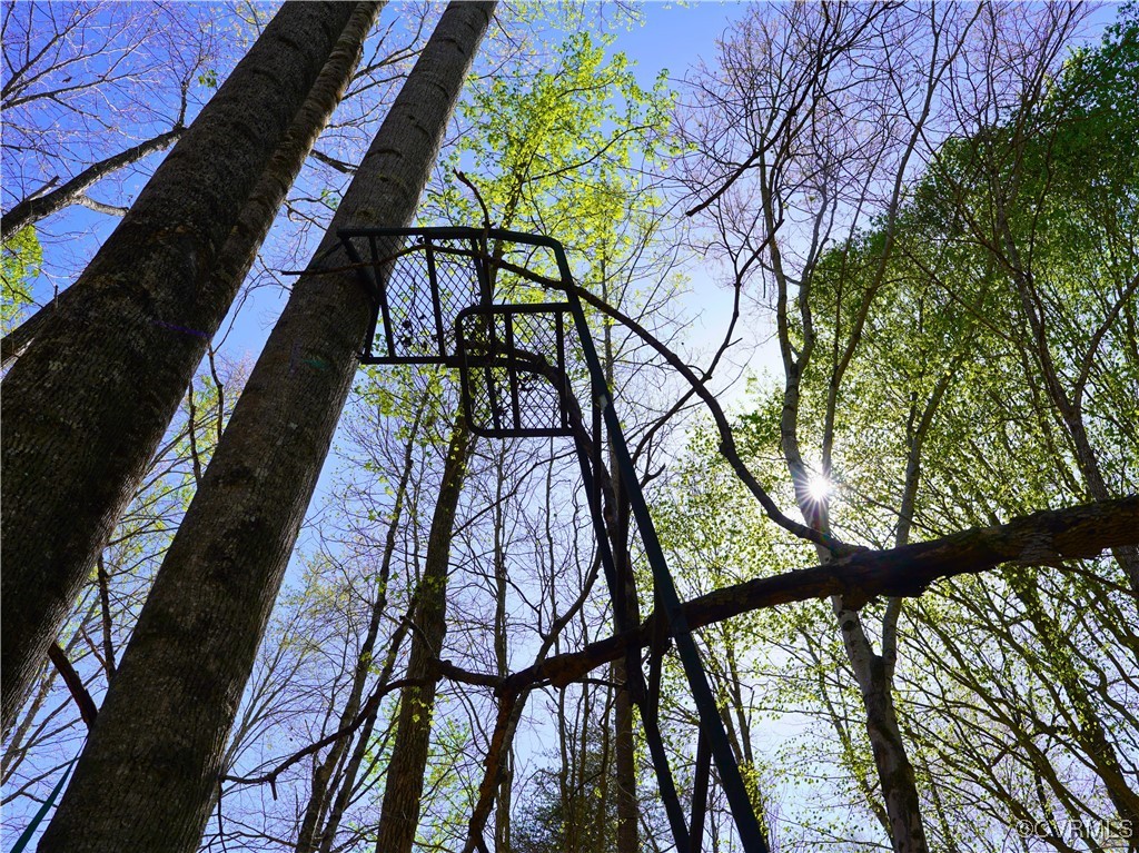 4147 Hunting Creek Road Nathalie, VA 24577 - Photo 37 of 50 Tree stand