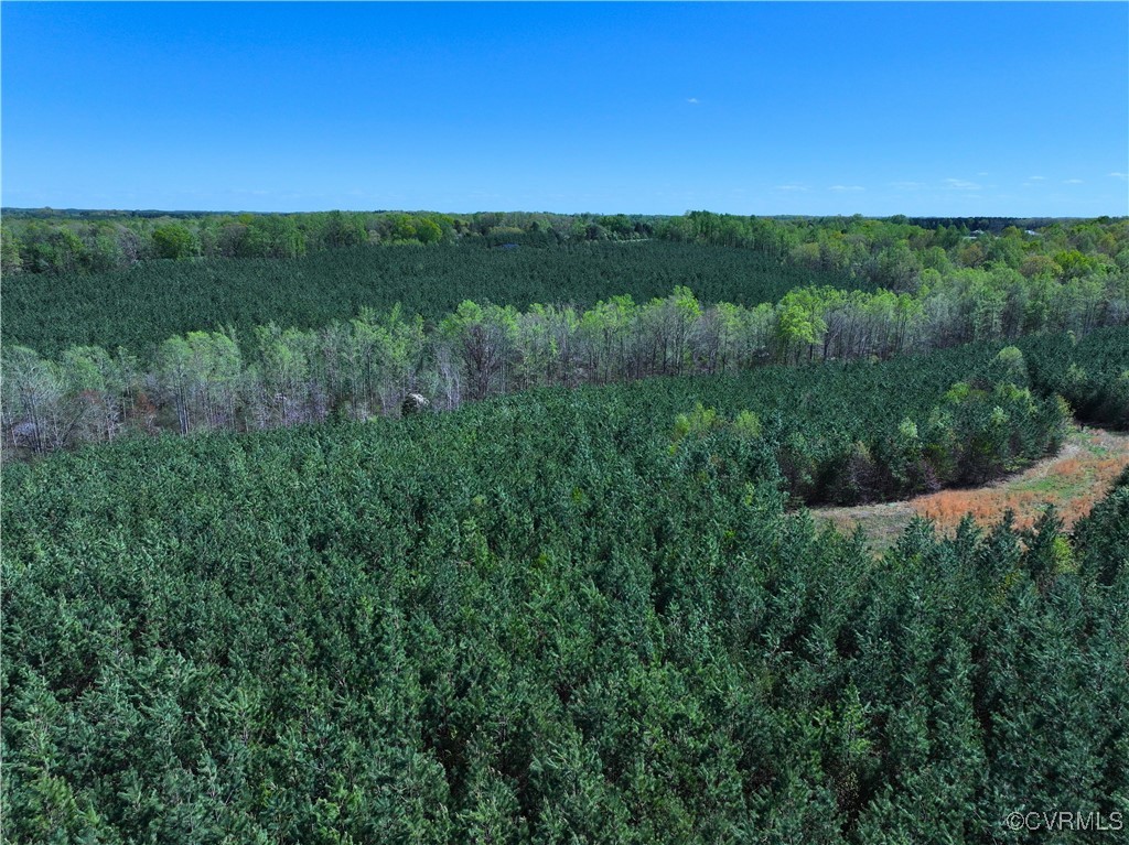 4147 Hunting Creek Road Nathalie, VA 24577 - Photo 38 of 50