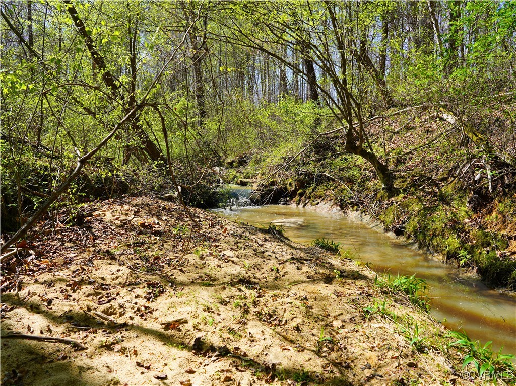 4147 Hunting Creek Road Nathalie, VA 24577 - Photo 39 of 50 Creek