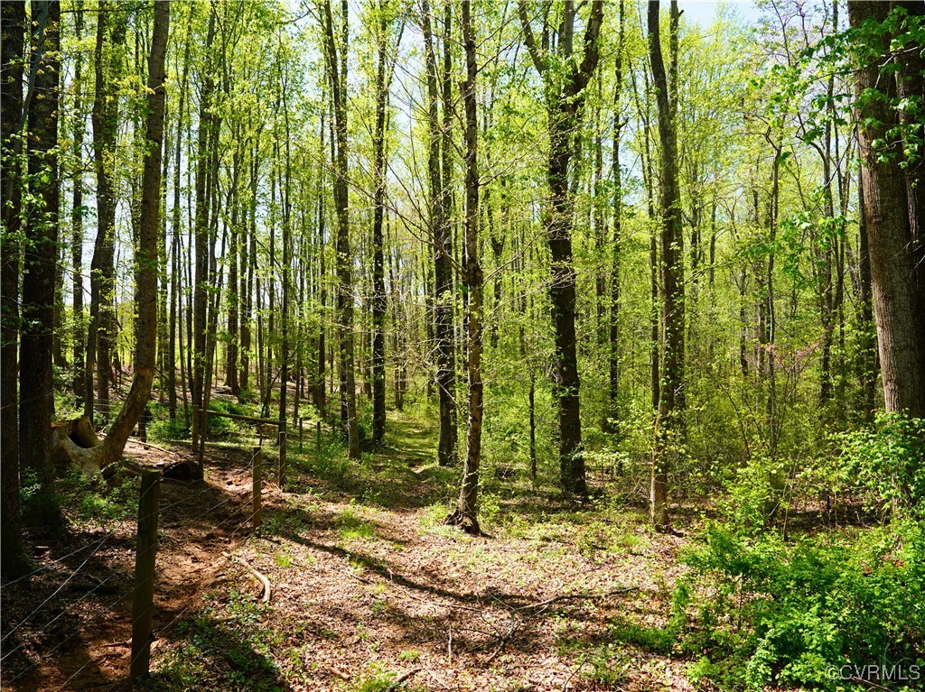 4147 Hunting Creek Road Nathalie, VA 24577 - Photo 42 of 50
