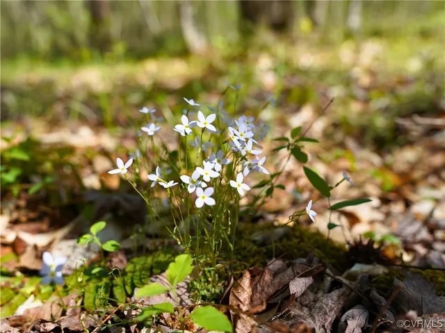 $389,000 | 4147 Hunting Creek Road, Nathalie, VA 24577