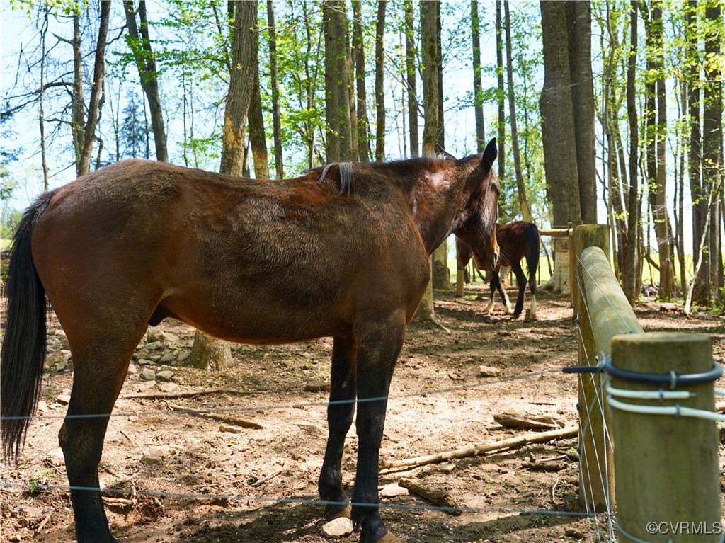 4147 Hunting Creek Road Nathalie, VA 24577 - Photo 46 of 50