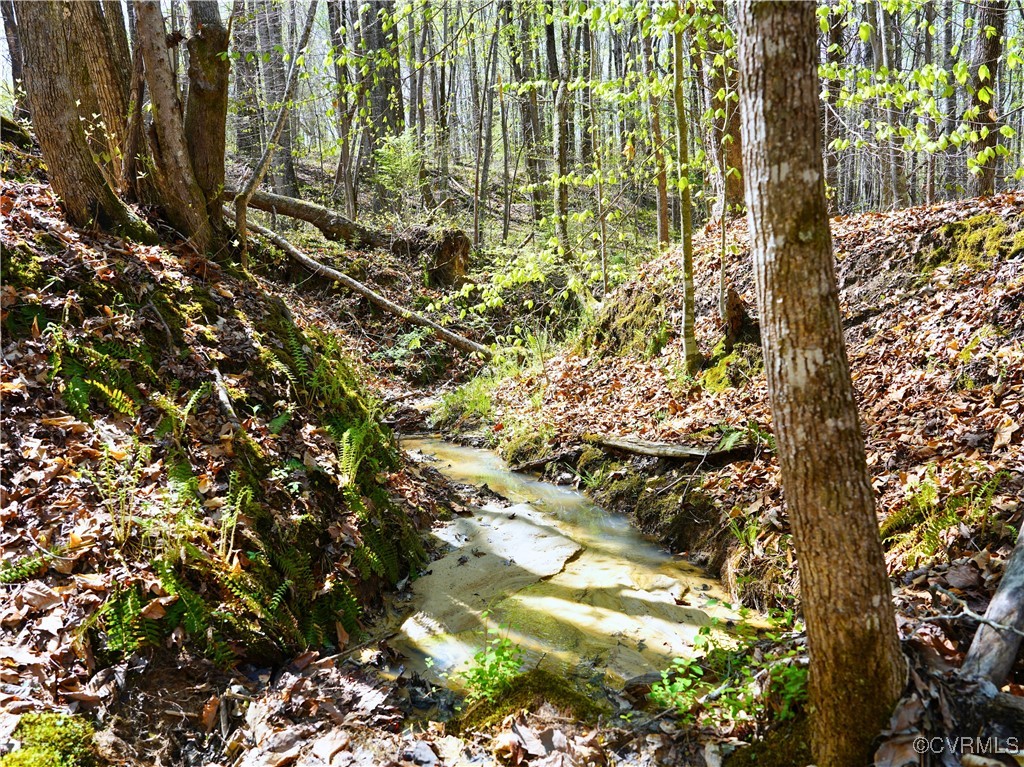 4147 Hunting Creek Road Nathalie, VA 24577 - Photo 10 of 50 Creek