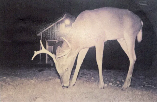 $244,900 | 4295 Indian Lakes Road Northeast, Cedar Springs, MI 49319