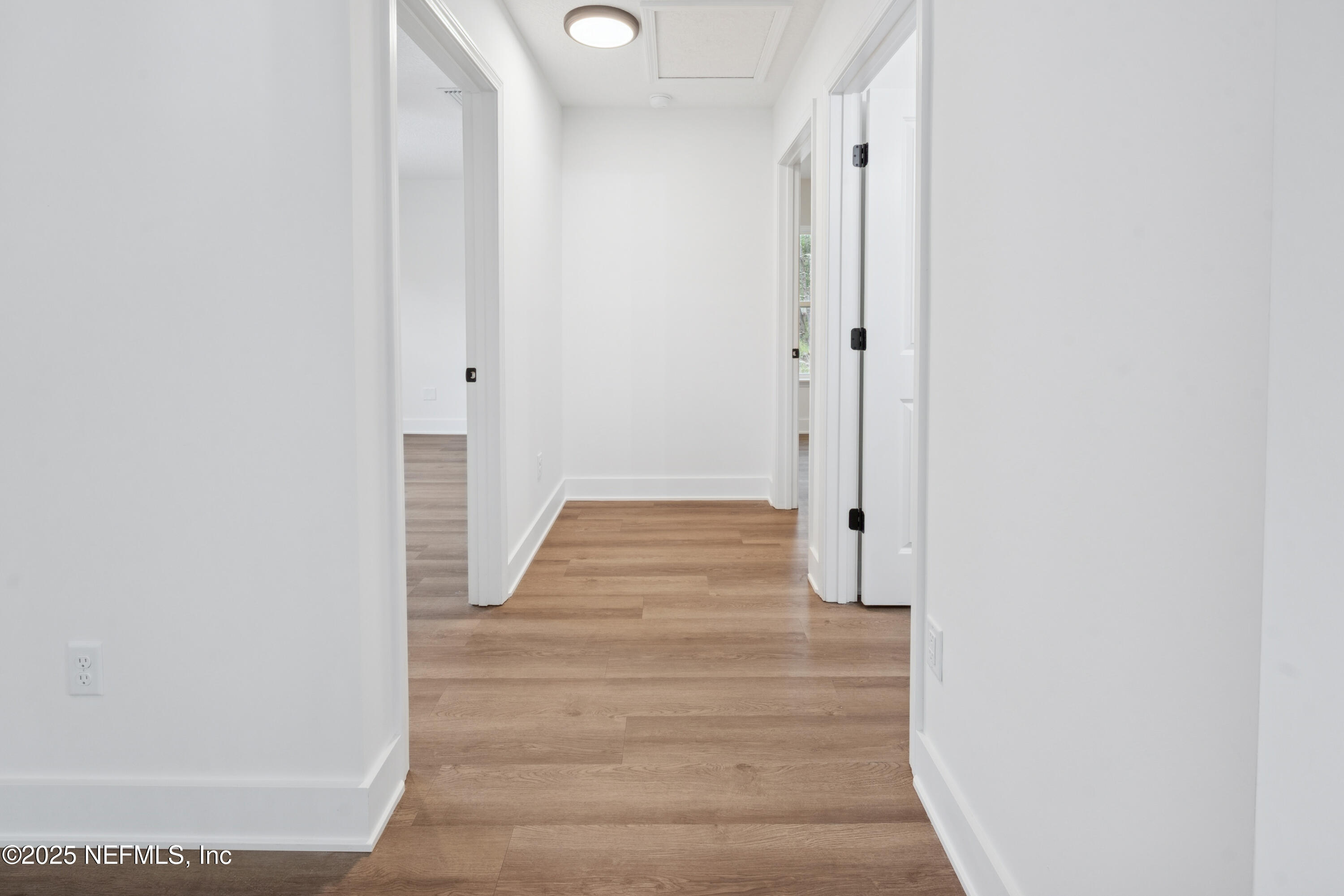 1264 Coral Farms Road Florahome, FL 32140 - Photo 46 of 62 1264 coral farms rd-40