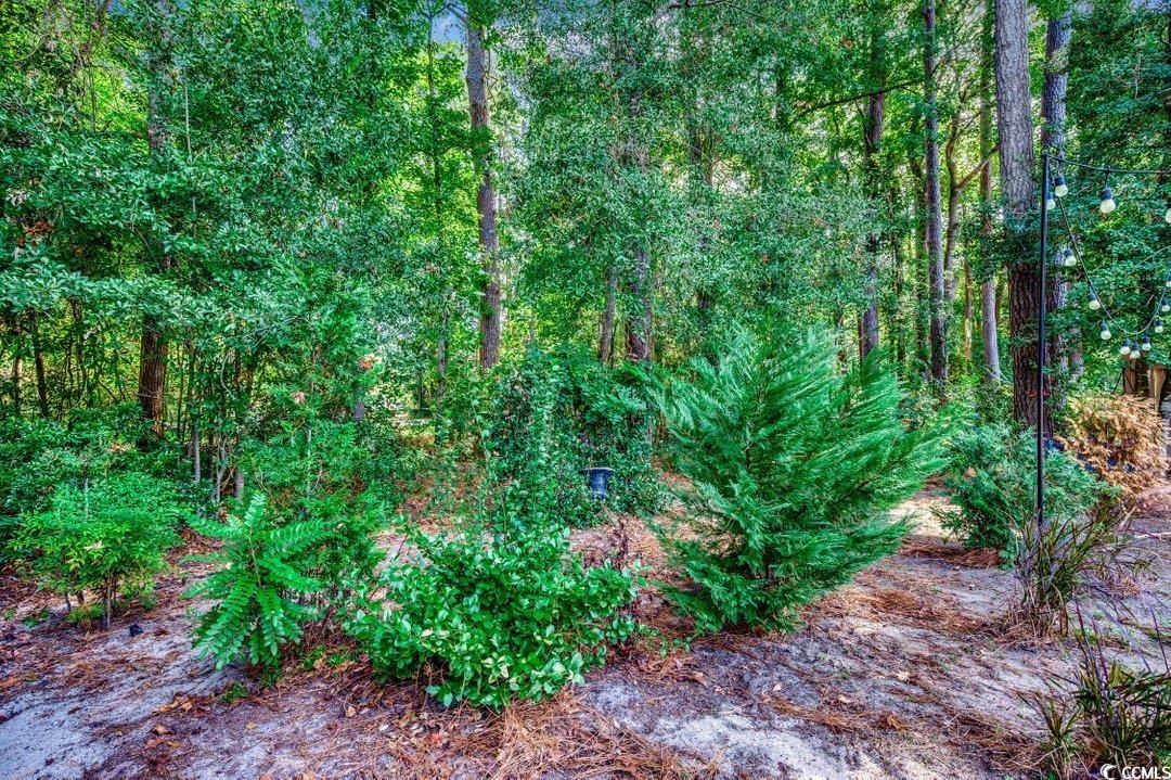 109 Hickory Drive Conway, SC 29526 - Photo 19 of 28