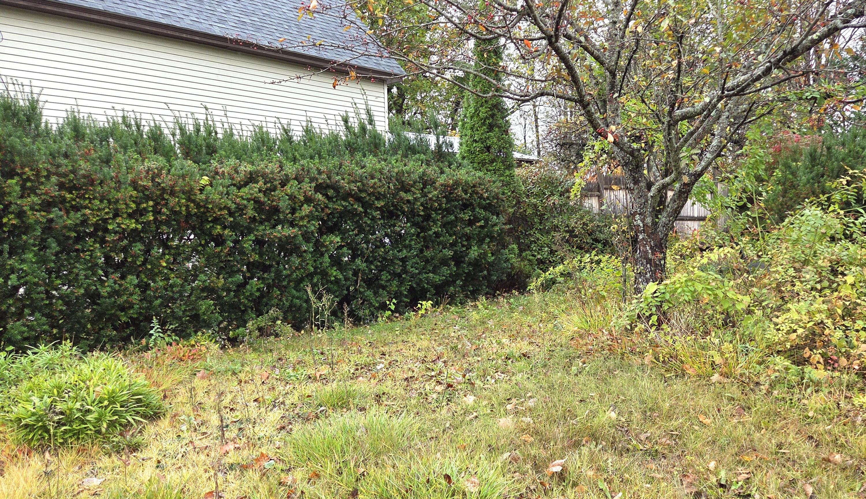 65 Middle Avenue Mexico, ME 04257 - Photo 32 of 37 Side yard1