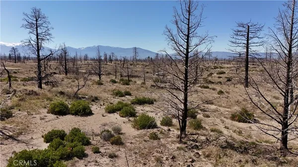 $19,000 | 34 Blk 43 Drive, Montague, CA 96064