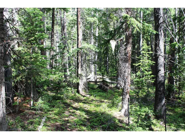 a view of outdoor space with lots of trees