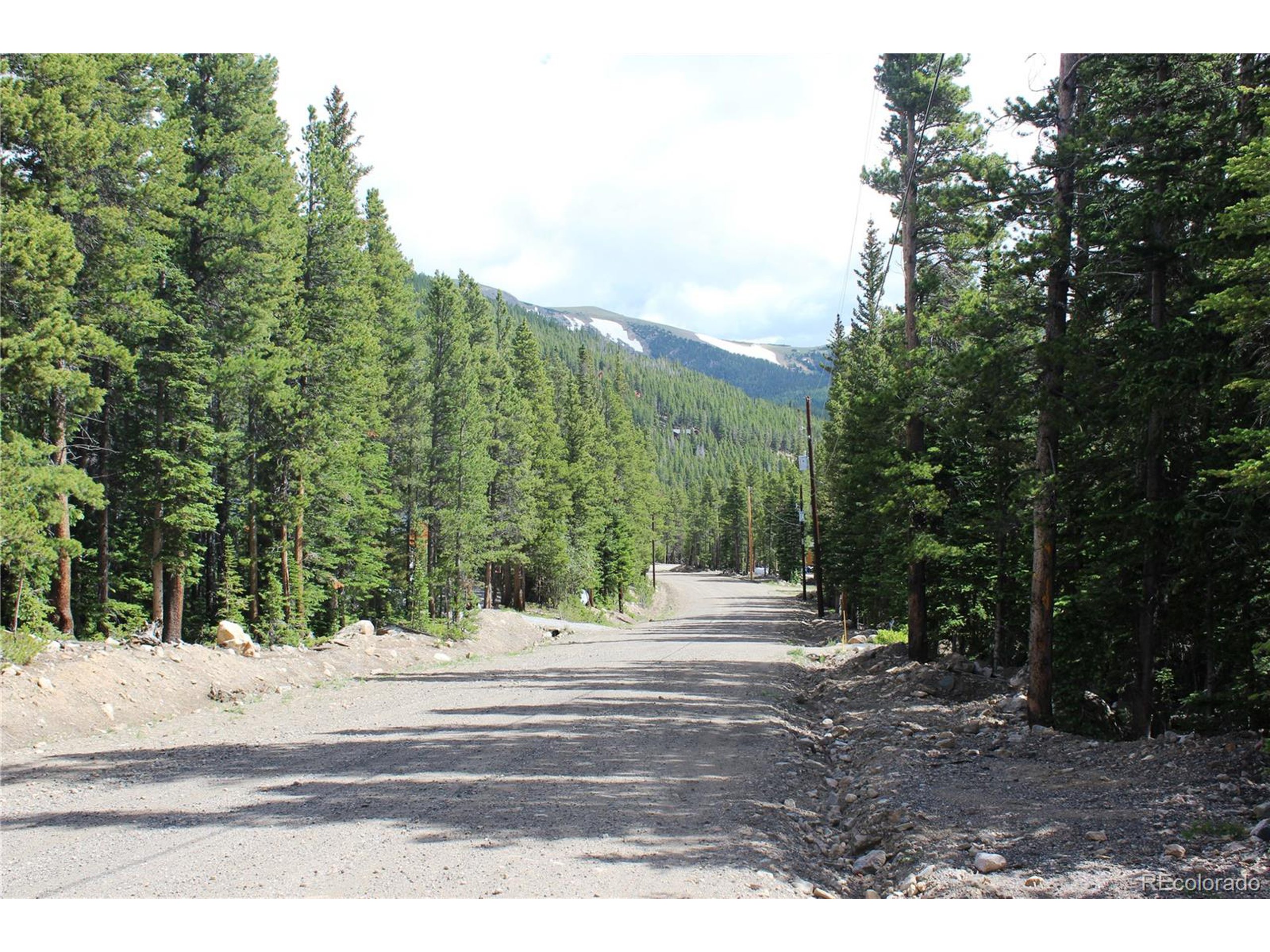 209 Upper Forest Road Idaho Springs, CO 80452 - Photo 13 of 24 a view of road with trees