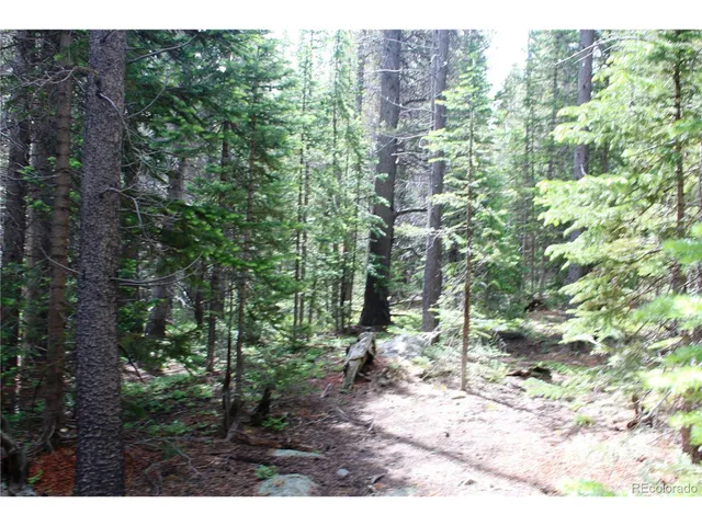 a view of outdoor space and trees
