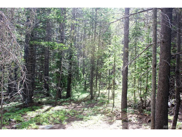 a view of backyard with green space