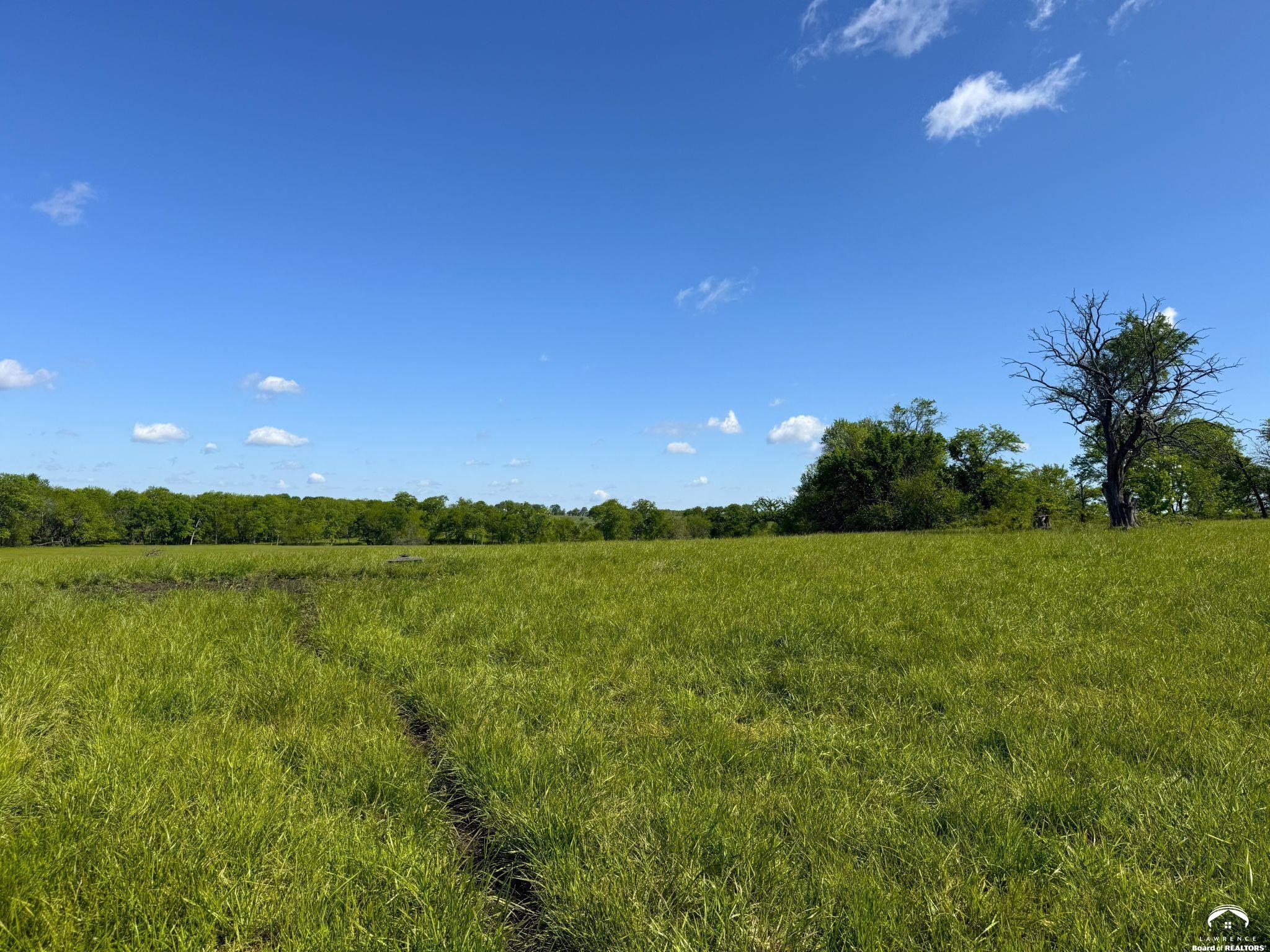 921 North 100th Road Baldwin City, KS 66006 - Photo 14 of 24