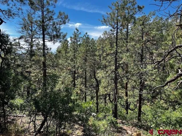 a view of a building