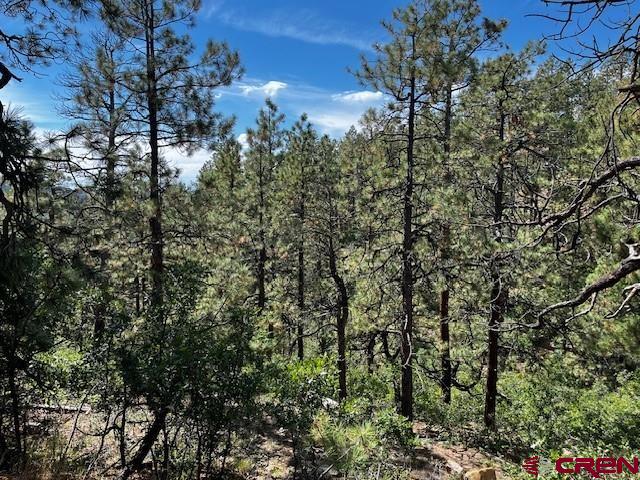 2221 Bear Creek Road Bayfield, CO 81122 - Photo 5 of 7 a view of a building