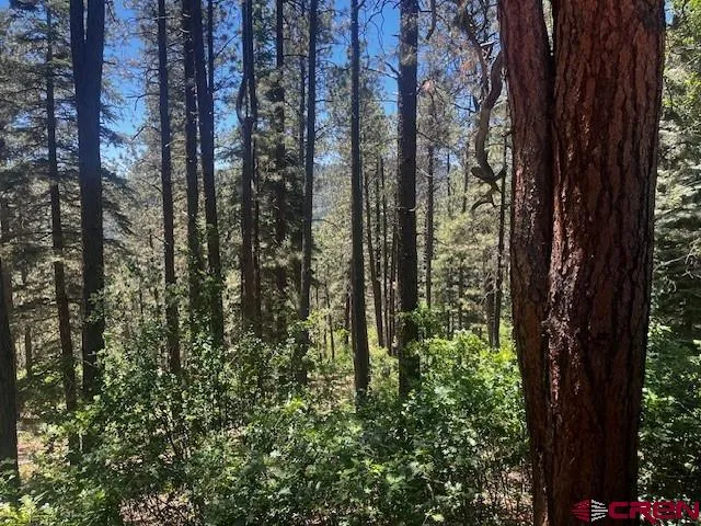 a view of outdoor space and garden