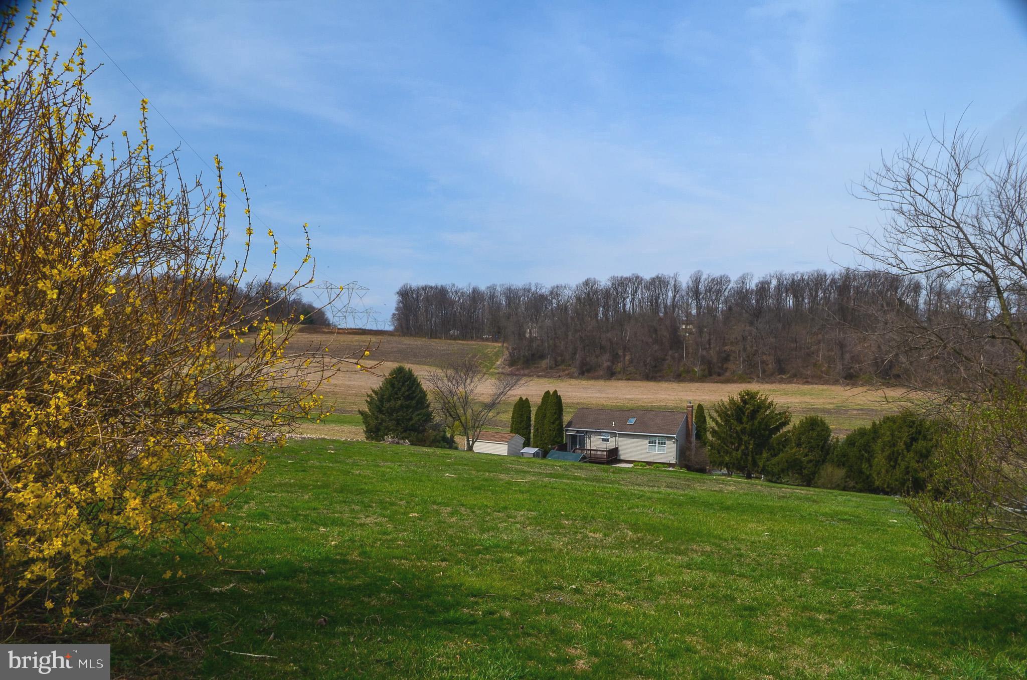 185 Elfner Road Red Lion, PA 17356 - Photo 17 of 34 a view of garden with trees