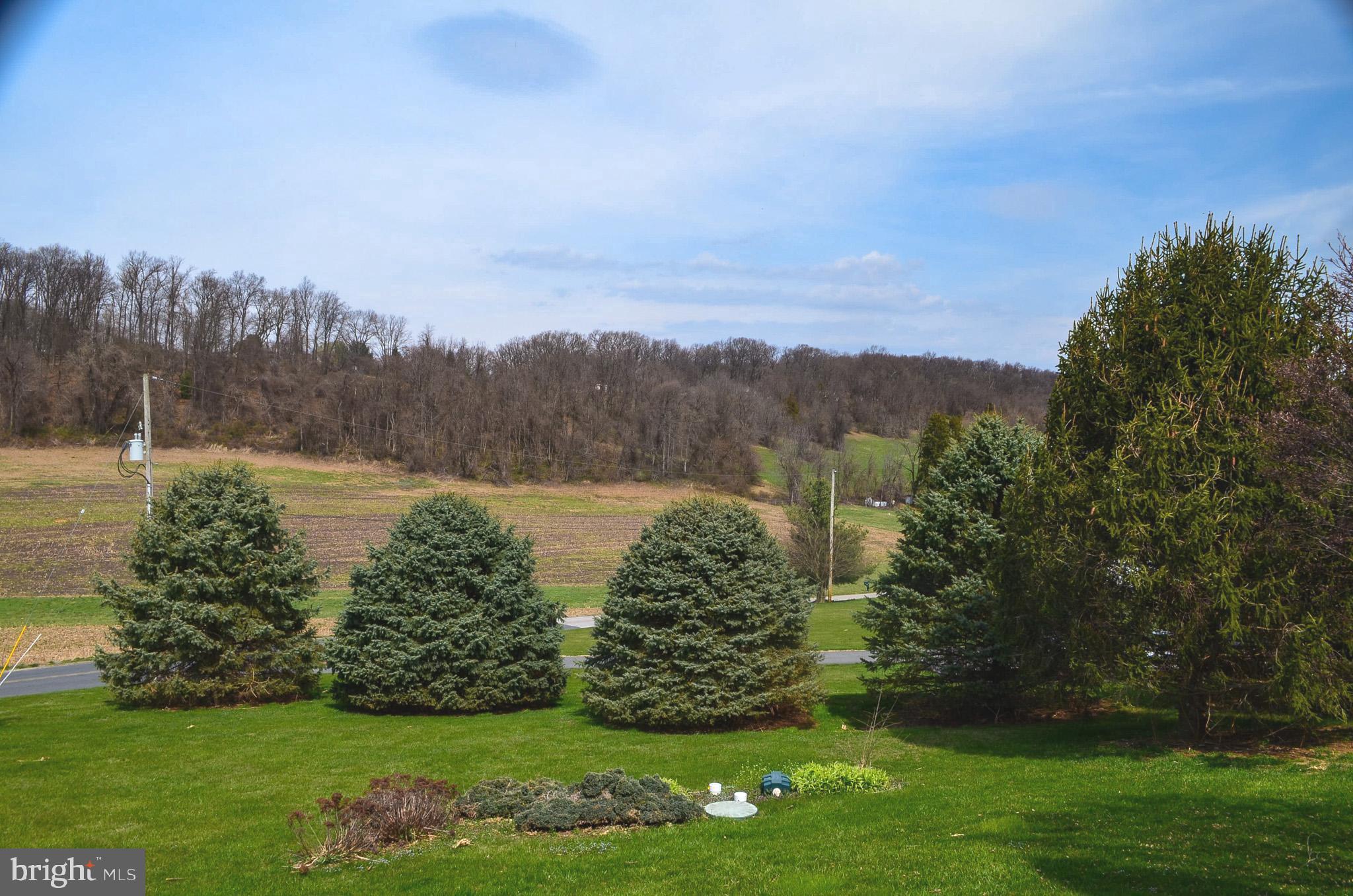185 Elfner Road Red Lion, PA 17356 - Photo 31 of 34 a view of a garden with trees
