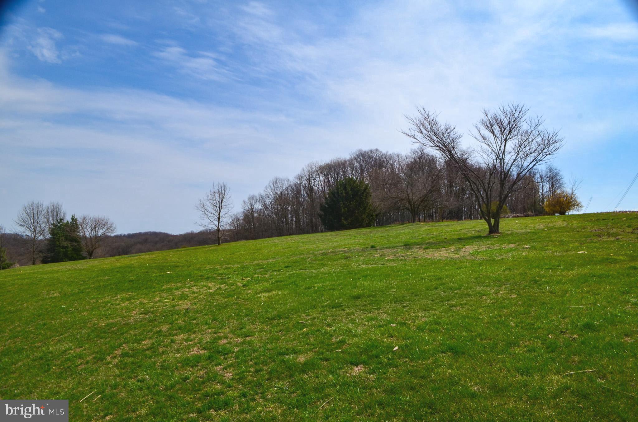 185 Elfner Road Red Lion, PA 17356 - Photo 33 of 34 a view of a field with a tree in the background