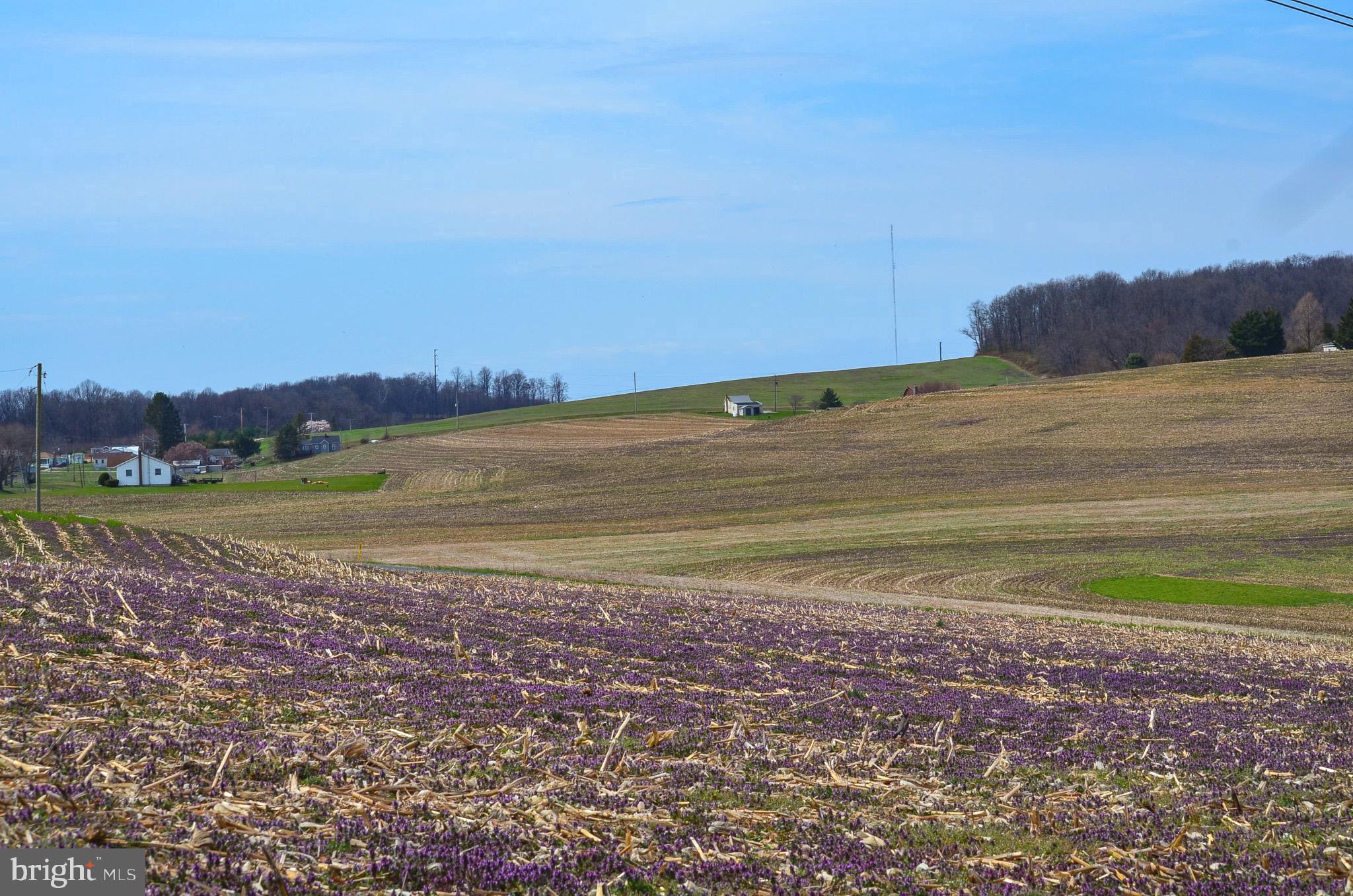 185 Elfner Road Red Lion, PA 17356 - Photo 34 of 34 a view of an ocean and beach