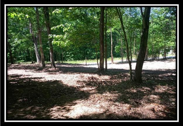 3144 Alice Road Vinton, OH 45686 - Photo 15 of 17