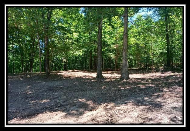3144 Alice Road Vinton, OH 45686 - Photo 2 of 17
