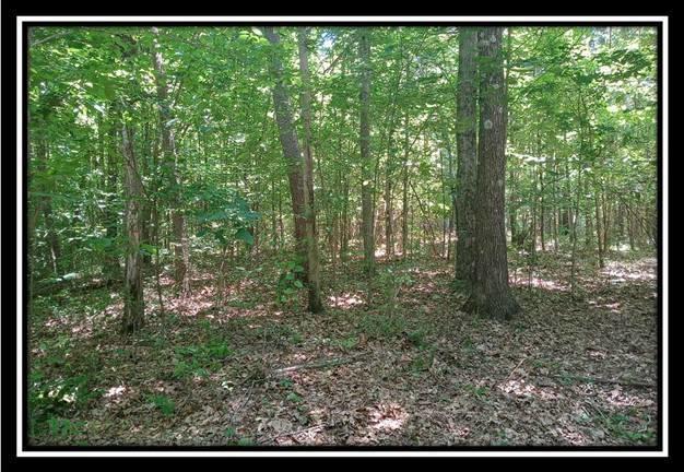 3144 Alice Road Vinton, OH 45686 - Photo 3 of 17