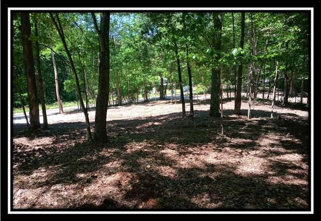3144 Alice Road Vinton, OH 45686 - Photo 6 of 17