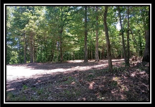 3144 Alice Road Vinton, OH 45686 - Photo 8 of 17