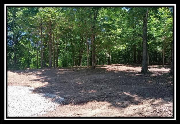 3144 Alice Road Vinton, OH 45686 - Photo 10 of 17