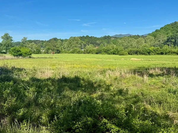 a view of a green field with an ocean view