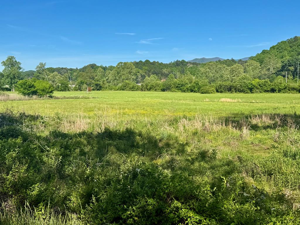 0 Tomotla Road Marble, NC 28905 - Photo 1 of 7 a view of a green field with an ocean view