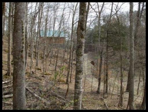 Alder Road Kyles Ford, TN 37765 - Photo 3 of 6 Additional Photo