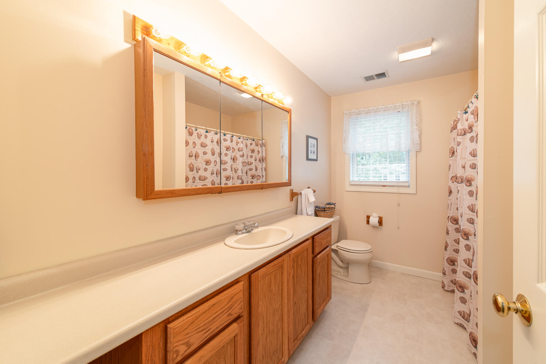 15 Nehoiden Road Mashpee, MA 02649 - Photo 23 of 40 a bathroom with a sink a toilet and mirror
